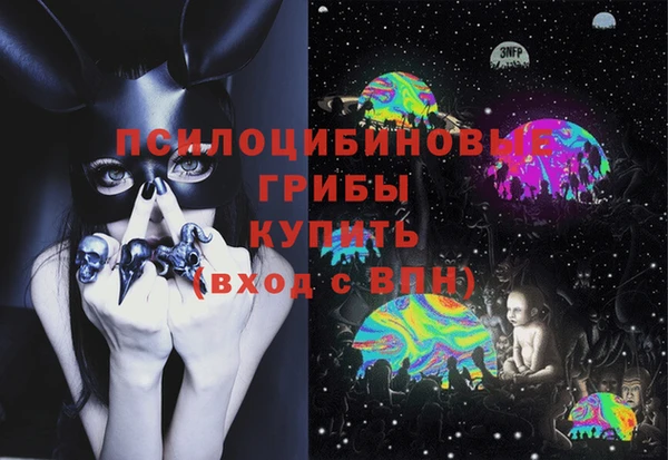 амф Бронницы
